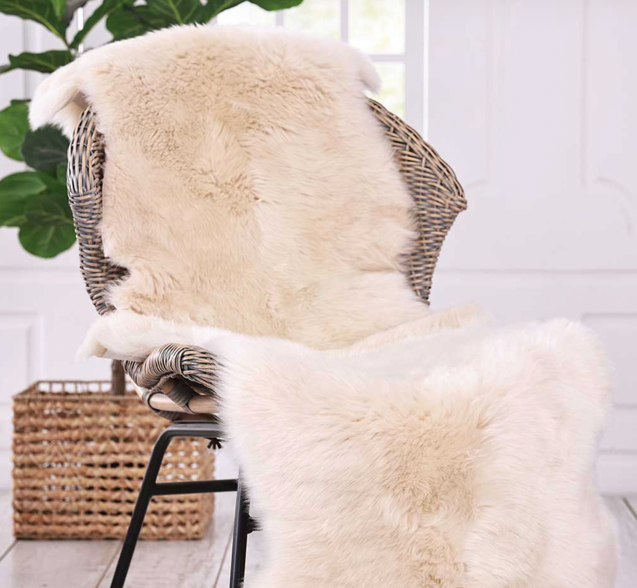 Wicker chair with a white sheepskin  throw in a room with a plant and basket.