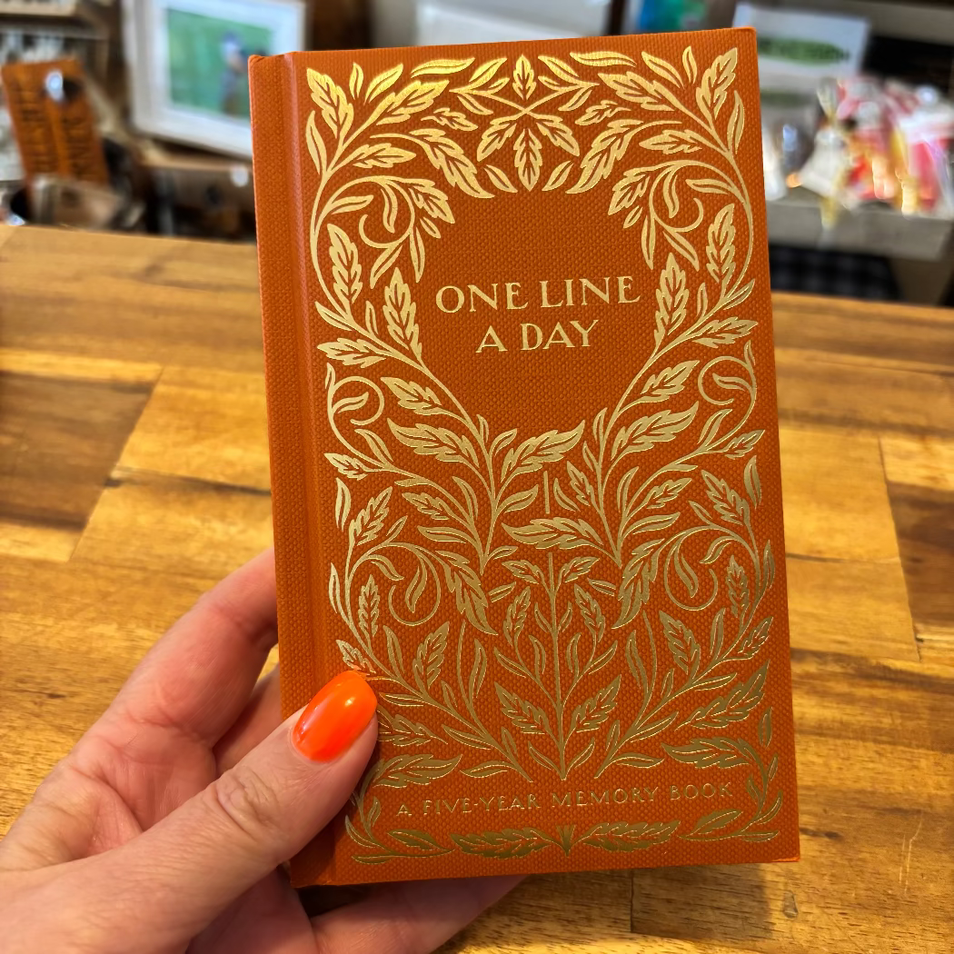 A hand holding a brown and gold foil-stamped journal titled 'One Line a Day' by Dana Tanamachi, with the year 2015 inscribed on the cover.