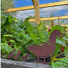 Rustic metal garden stake set shaped like a duck family, including a large duck and three smaller ducklings, displayed in a raised garden bed with green plants.