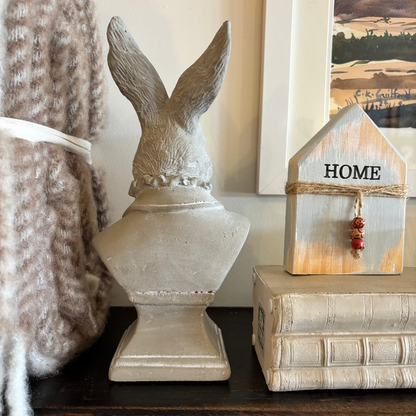 Handsome Rabbit Head