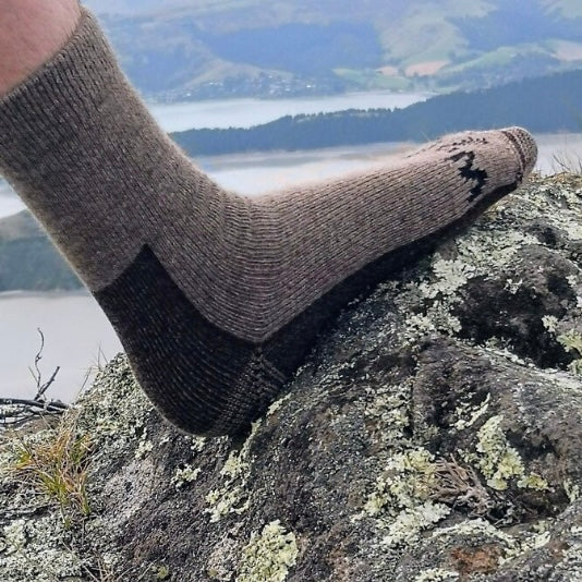 Wyld | Casual Socks Possum - New Yarn