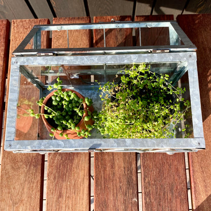 Green House